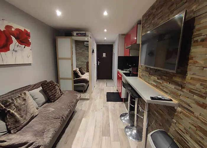 Studio Les 2 Alpes Au Village 1800M-Commerces Et Telesiege A 50M-Retour Ski Au Pied